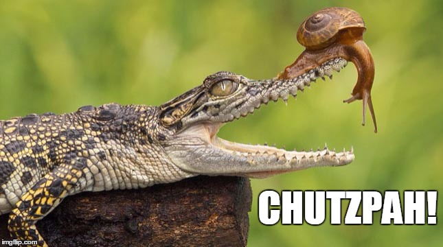 Bad Choice Snail | CHUTZPAH! | image tagged in chutzpah,moxie,bad choices,snail,alligator | made w/ Imgflip meme maker