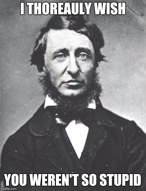Henry David Thoreau | I THOREAULY WISH; YOU WEREN'T SO STUPID | image tagged in memes,henry david thoreau | made w/ Imgflip meme maker