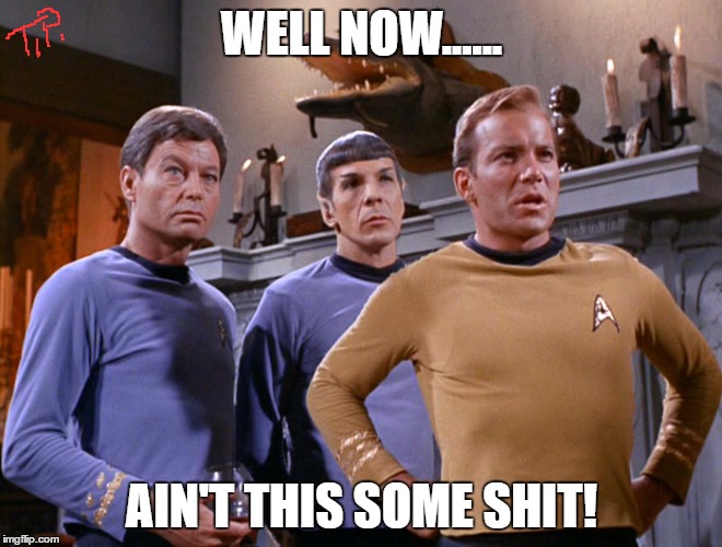 star trek ain't this some shit | WELL NOW...... AIN'T THIS SOME SHIT! | image tagged in star trek,meme,funny,original meme,too funny | made w/ Imgflip meme maker