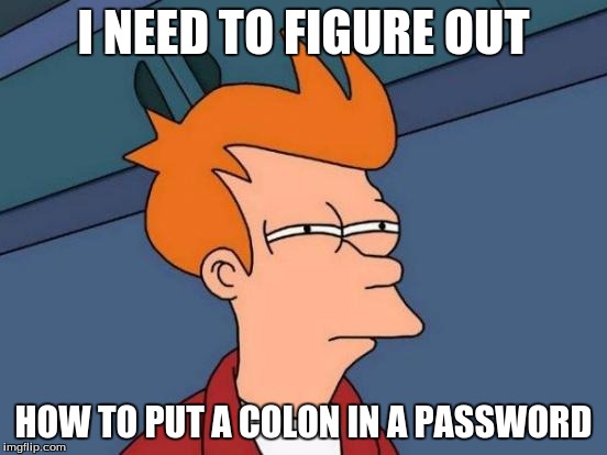 Futurama Fry Meme | I NEED TO FIGURE OUT HOW TO PUT A COLON IN A PASSWORD | image tagged in memes,futurama fry | made w/ Imgflip meme maker