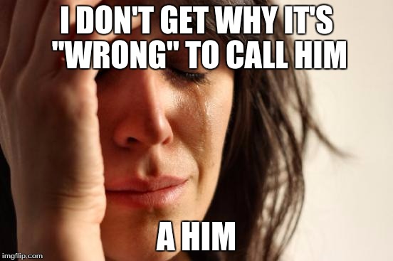First World Problems Meme | I DON'T GET WHY IT'S "WRONG" TO CALL HIM A HIM | image tagged in memes,first world problems | made w/ Imgflip meme maker