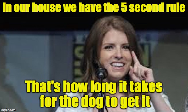 Condescending Anna | In our house we have the 5 second rule That's how long it takes for the dog to get it | image tagged in condescending anna | made w/ Imgflip meme maker