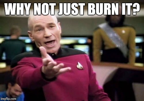 Picard Wtf Meme | WHY NOT JUST BURN IT? | image tagged in memes,picard wtf | made w/ Imgflip meme maker