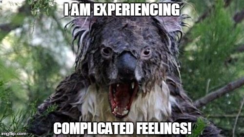 Angry Koala | I AM EXPERIENCING; COMPLICATED FEELINGS! | image tagged in memes,angry koala,complicated feelings,trigger warning | made w/ Imgflip meme maker