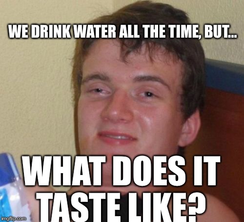 10 Guy Meme | WE DRINK WATER ALL THE TIME, BUT... WHAT DOES IT TASTE LIKE? | image tagged in memes,10 guy | made w/ Imgflip meme maker
