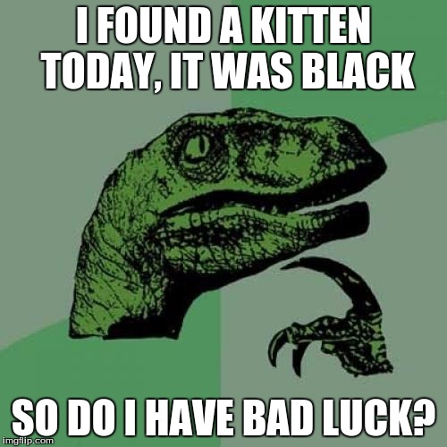 Philosoraptor Meme | I FOUND A KITTEN TODAY, IT WAS BLACK; SO DO I HAVE BAD LUCK? | image tagged in memes,philosoraptor | made w/ Imgflip meme maker