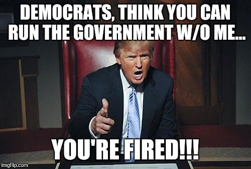 Dem out?...... | DEMOCRATS, THINK YOU CAN RUN THE GOVERNMENT W/O ME... YOU'RE FIRED!!! | image tagged in donald trump you're fired,government | made w/ Imgflip meme maker