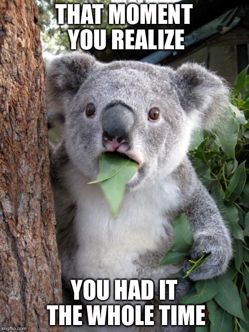 Surprised Koala Meme | THAT MOMENT YOU REALIZE; YOU HAD IT THE WHOLE TIME | image tagged in memes,surprised koala | made w/ Imgflip meme maker