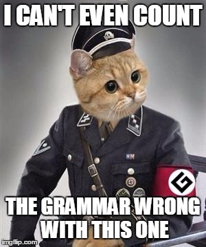 grammar nazi cat | I CAN'T EVEN COUNT THE GRAMMAR WRONG WITH THIS ONE | image tagged in grammar nazi cat | made w/ Imgflip meme maker