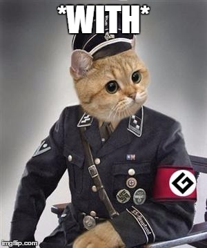 grammar nazi cat | *WITH* | image tagged in grammar nazi cat | made w/ Imgflip meme maker