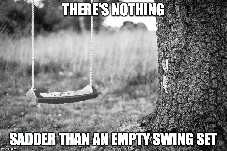 True | THERE'S NOTHING; SADDER THAN AN EMPTY SWING SET | image tagged in swingset | made w/ Imgflip meme maker