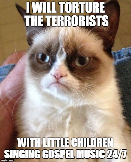 Grumpy Cat Meme | I WILL TORTURE THE TERRORISTS WITH LITTLE CHILDREN SINGING GOSPEL MUSIC 24/7 | image tagged in memes,grumpy cat | made w/ Imgflip meme maker