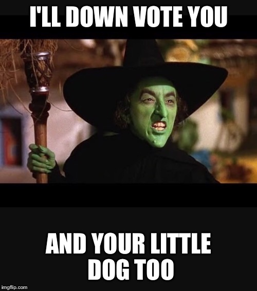I'LL DOWN VOTE YOU AND YOUR LITTLE DOG TOO | made w/ Imgflip meme maker