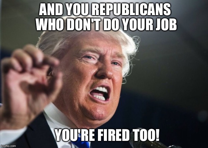 AND YOU REPUBLICANS WHO DON'T DO YOUR JOB YOU'RE FIRED TOO! | made w/ Imgflip meme maker