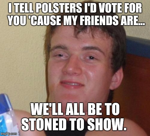 10 Guy Meme | I TELL POLSTERS I'D VOTE FOR YOU 'CAUSE MY FRIENDS ARE... WE'LL ALL BE TO STONED TO SHOW. | image tagged in memes,10 guy | made w/ Imgflip meme maker