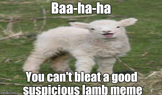 Baa-ha-ha You can't bleat a good suspicious lamb meme | made w/ Imgflip meme maker