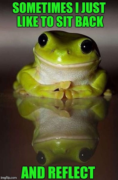 A time of reflection | SOMETIMES I JUST LIKE TO SIT BACK; AND REFLECT | image tagged in memes,funny,frog,sewmyeyesshut,puns | made w/ Imgflip meme maker