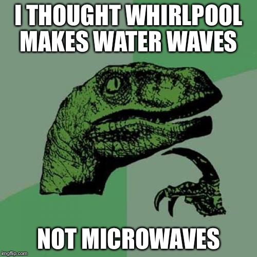 Philosoraptor | I THOUGHT WHIRLPOOL MAKES WATER WAVES; NOT MICROWAVES | image tagged in memes,philosoraptor | made w/ Imgflip meme maker