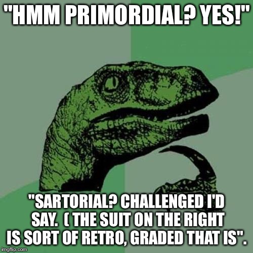 Philosoraptor Meme | "HMM PRIMORDIAL? YES!" "SARTORIAL? CHALLENGED I'D SAY. 
( THE SUIT ON THE RIGHT IS SORT OF RETRO, GRADED THAT IS". | image tagged in memes,philosoraptor | made w/ Imgflip meme maker