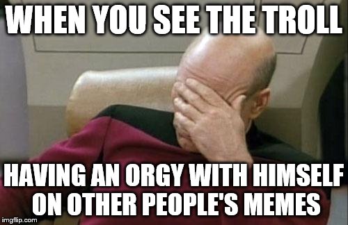 Captain Picard Facepalm Meme | WHEN YOU SEE THE TROLL HAVING AN ORGY WITH HIMSELF ON OTHER PEOPLE'S MEMES | image tagged in memes,captain picard facepalm | made w/ Imgflip meme maker