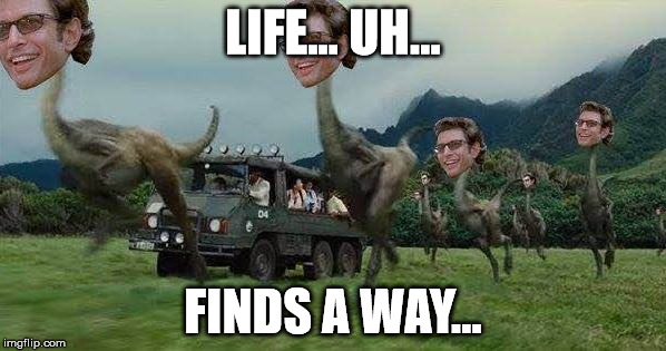 Jeff Goldblum | LIFE... UH... FINDS A WAY... | image tagged in jeff goldblum | made w/ Imgflip meme maker