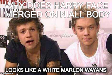 WHY DOES HARRY FACE MERGED ON NIALL BODY; LOOKS LIKE A WHITE MARLON WAYANS | image tagged in db | made w/ Imgflip meme maker