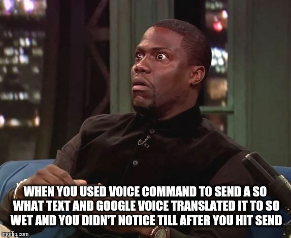Woops | WHEN YOU USED VOICE COMMAND TO SEND A SO WHAT TEXT AND GOOGLE VOICE TRANSLATED IT TO SO WET AND YOU DIDN'T NOTICE TILL AFTER YOU HIT SEND | image tagged in memes | made w/ Imgflip meme maker