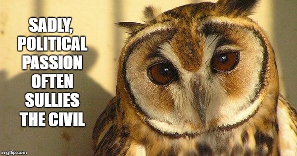 Sympathetic Owl | SADLY, POLITICAL PASSION OFTEN SULLIES THE CIVIL | image tagged in passion,politics,civility,sympathy | made w/ Imgflip meme maker