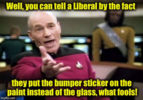 Picard Wtf Meme | Well, you can tell a Liberal by the fact they put the bumper sticker on the paint instead of the glass, what fools! | image tagged in memes,picard wtf | made w/ Imgflip meme maker