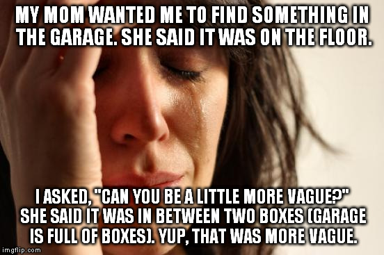 First World Problems Meme | MY MOM WANTED ME TO FIND SOMETHING IN THE GARAGE. SHE SAID IT WAS ON THE FLOOR. I ASKED, "CAN YOU BE A LITTLE MORE VAGUE?" SHE SAID IT WAS I | image tagged in memes,first world problems | made w/ Imgflip meme maker