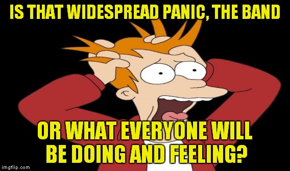 IS THAT WIDESPREAD PANIC, THE BAND OR WHAT EVERYONE WILL BE DOING AND FEELING? | made w/ Imgflip meme maker
