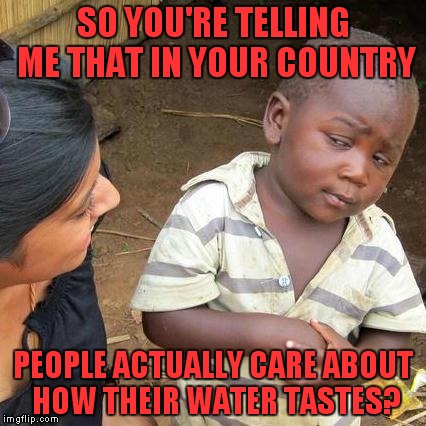 Third World Skeptical Kid Meme | SO YOU'RE TELLING ME THAT IN YOUR COUNTRY PEOPLE ACTUALLY CARE ABOUT HOW THEIR WATER TASTES? | image tagged in memes,third world skeptical kid | made w/ Imgflip meme maker