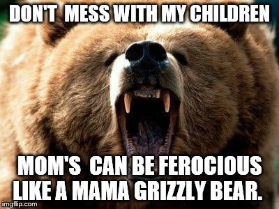 moms be like | DON'T  MESS WITH MY CHILDREN; MOM'S  CAN BE FEROCIOUS LIKE A MAMA GRIZZLY BEAR. | image tagged in moms be like | made w/ Imgflip meme maker