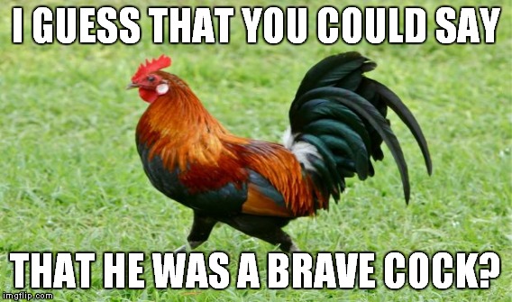 I GUESS THAT YOU COULD SAY THAT HE WAS A BRAVE COCK? | made w/ Imgflip meme maker
