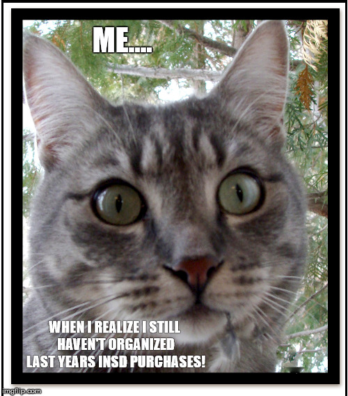 ME.... WHEN I REALIZE I STILL HAVEN'T ORGANIZED LAST YEARS INSD PURCHASES! | made w/ Imgflip meme maker