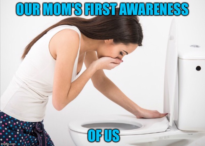 The Joys of Motherhood: Part 1 | OUR MOM'S FIRST AWARENESS; OF US | image tagged in moms | made w/ Imgflip meme maker
