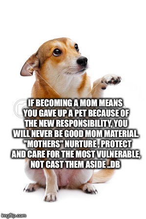 Pet adoption. Mother's Day euthanasia dogs cats  | IF BECOMING A MOM MEANS YOU GAVE UP A PET BECAUSE OF THE NEW RESPONSIBILITY, YOU WILL NEVER BE GOOD MOM MATERIAL. 

"MOTHERS" NURTURE , PROTECT AND CARE FOR THE MOST VULNERABLE, NOT CAST THEM ASIDE ..DB | image tagged in pet adoption mother's day euthanasia dogs cats | made w/ Imgflip meme maker