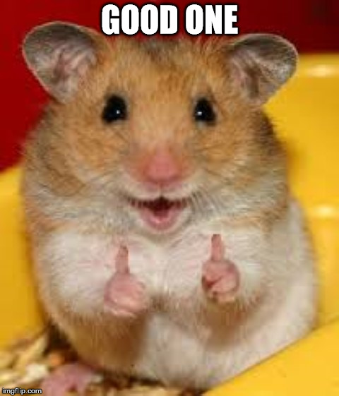 Thumbs up hamster  | GOOD ONE | image tagged in thumbs up hamster | made w/ Imgflip meme maker