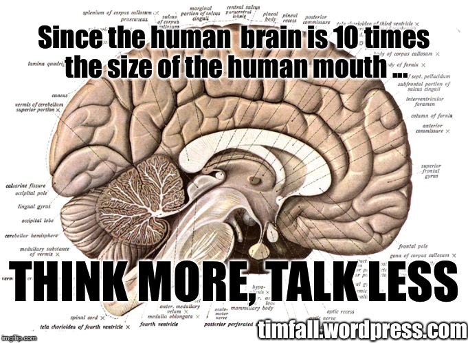 Brain Talk | Since the human  brain is 10 times the size of the human mouth ... THINK MORE, TALK LESS; timfall.wordpress.com | image tagged in brain,mouth,thinking,talking | made w/ Imgflip meme maker