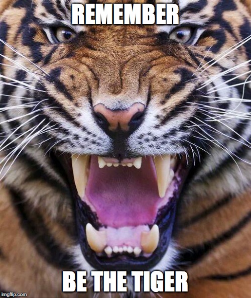 Tiger2 | REMEMBER; BE THE TIGER | image tagged in tiger2 | made w/ Imgflip meme maker