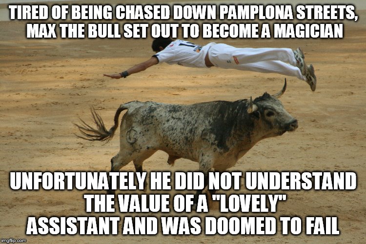 It's an illuuuuuuusion | TIRED OF BEING CHASED DOWN PAMPLONA STREETS, MAX THE BULL SET OUT TO BECOME A MAGICIAN; UNFORTUNATELY HE DID NOT UNDERSTAND THE VALUE OF A "LOVELY" ASSISTANT AND WAS DOOMED TO FAIL | image tagged in memes,animals,magic | made w/ Imgflip meme maker