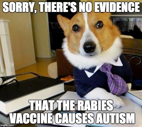 Lawyer dog | SORRY, THERE'S NO EVIDENCE; THAT THE RABIES VACCINE CAUSES AUTISM | image tagged in lawyer dog | made w/ Imgflip meme maker