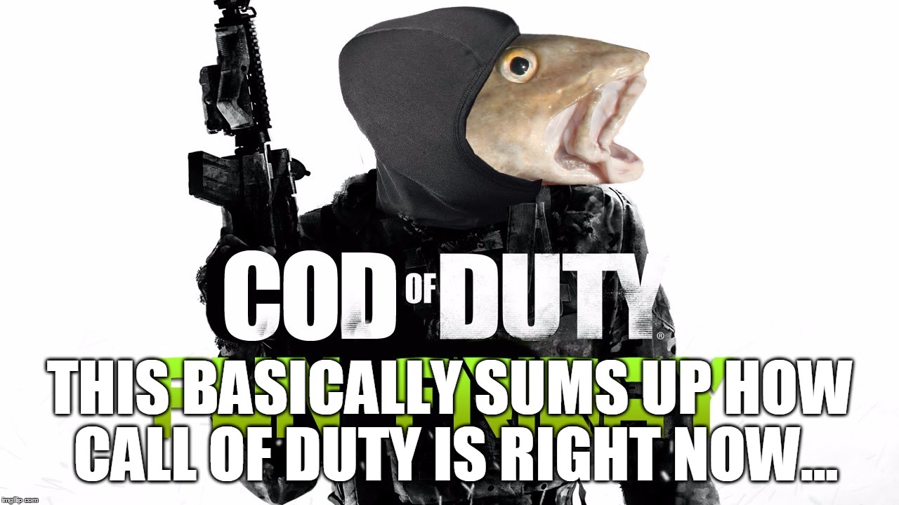 THIS BASICALLY SUMS UP HOW CALL OF DUTY IS RIGHT NOW... | made w/ Imgflip meme maker