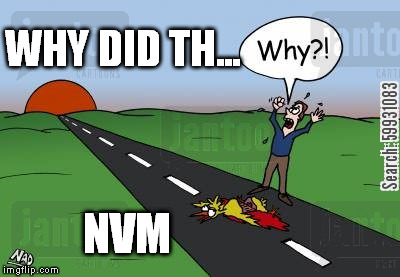 WHY DID TH... NVM | made w/ Imgflip meme maker