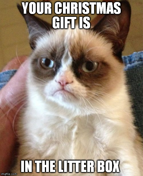 Grumpy Cat Meme | YOUR CHRISTMAS GIFT IS IN THE LITTER BOX | image tagged in memes,grumpy cat | made w/ Imgflip meme maker