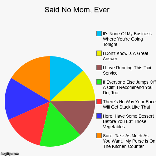 Said No Mom, Ever - Imgflip