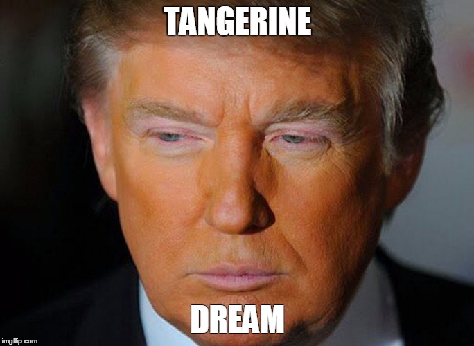 Tangerine Dream | TANGERINE; DREAM | image tagged in donald trump,trump 2016,trump,oompa loompa,presidential race,republicans | made w/ Imgflip meme maker