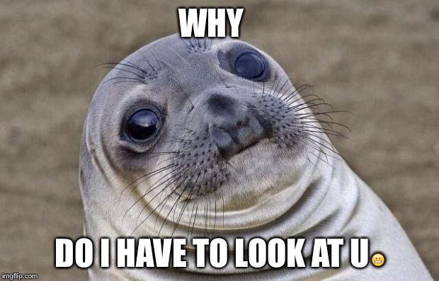 Awkward Moment Sealion Meme | WHY; DO I HAVE TO LOOK AT U😬 | image tagged in memes,awkward moment sealion | made w/ Imgflip meme maker