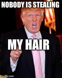 Donald Trump | NOBODY IS STEALING; MY HAIR | image tagged in donald trump | made w/ Imgflip meme maker