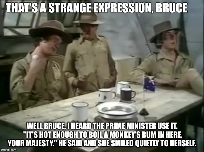THAT'S A STRANGE EXPRESSION, BRUCE; WELL BRUCE, I HEARD THE PRIME MINISTER USE IT. "IT'S HOT ENOUGH TO BOIL A MONKEY'S BUM IN HERE, YOUR MAJESTY." HE SAID AND SHE SMILED QUIETLY TO HERSELF. | image tagged in bruce,monty python | made w/ Imgflip meme maker
